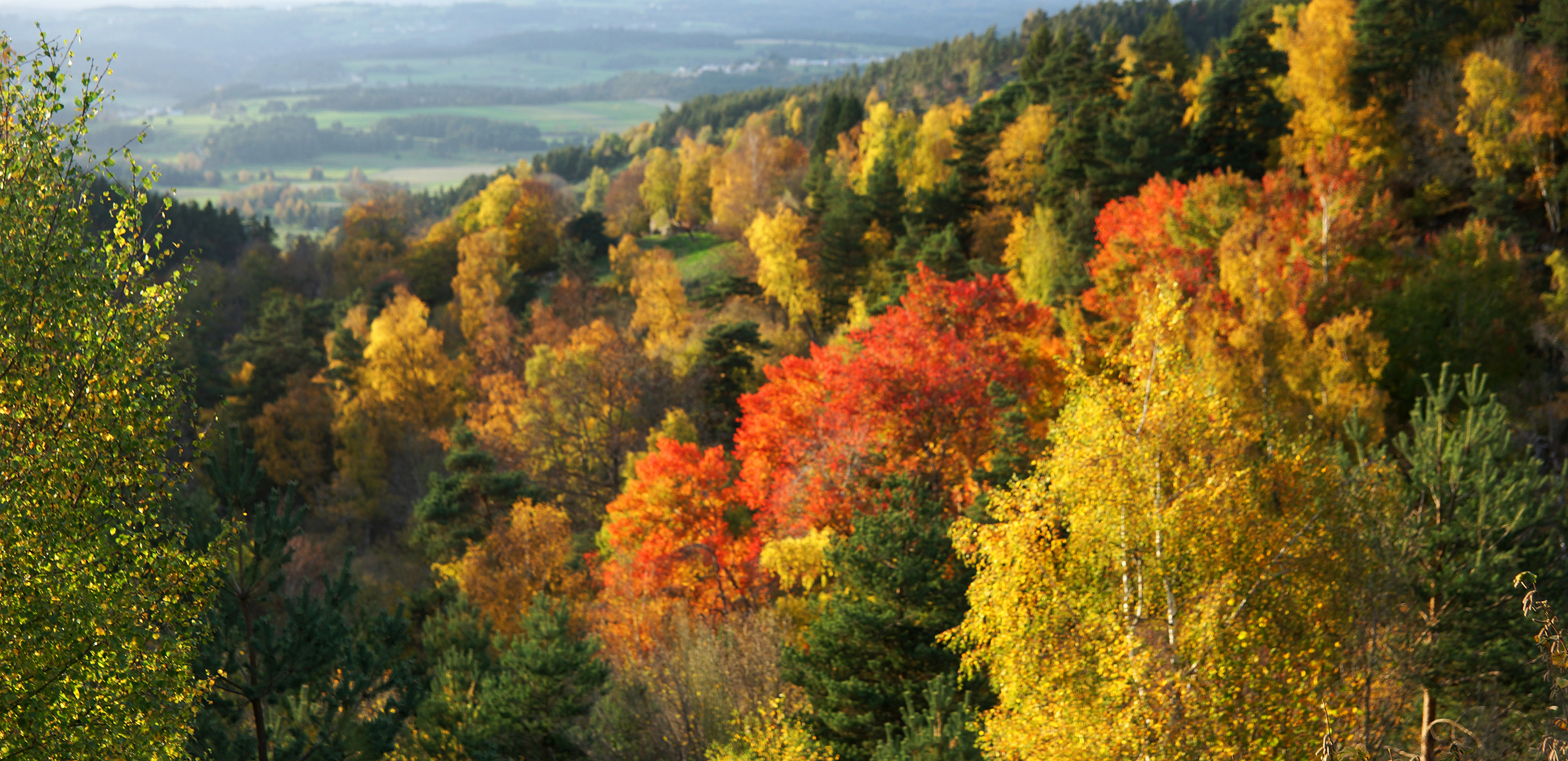 Photo n° 37 de l'avis de Guillaume.o fait le 30/10/2022 à 19:42