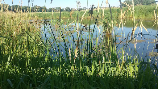 Nature Preserve «Hadley Valley - Gougar Road Access», reviews and photos, 18311 Gougar Rd, Joliet, IL 60432, USA