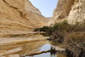 Ein Avdat National Park image