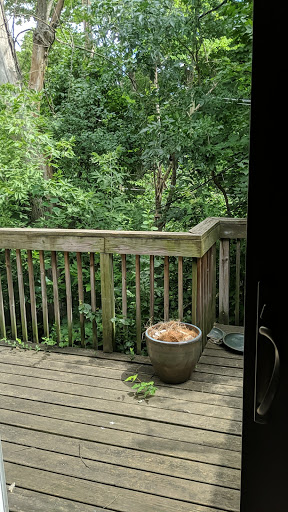 Wine Store «Birmingham Wine», reviews and photos, 588 N Old Woodward Ave, Birmingham, MI 48009, USA