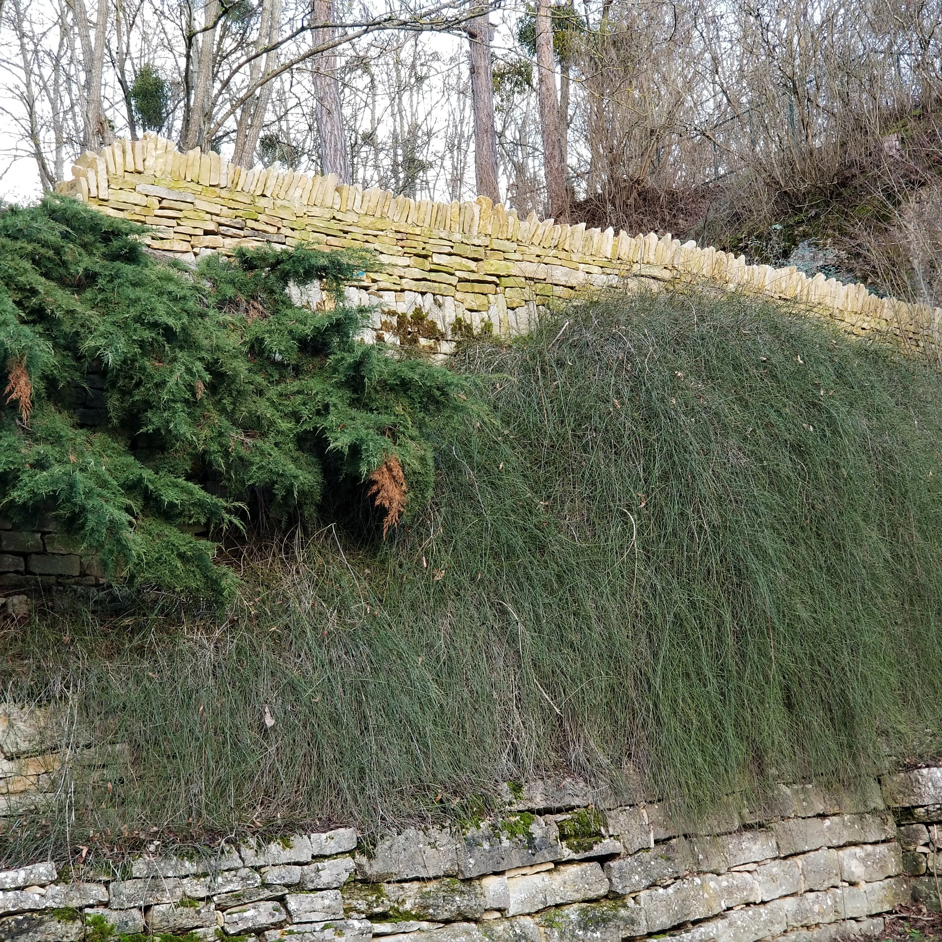 Photo n° 1 de l'avis de Dominique.e fait le 08/01/2021 à 18:25