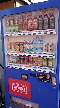 ほったらかしキャンプ場