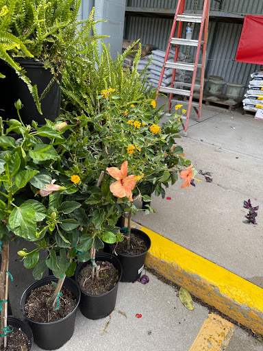 Hardware Store «Westlake Ace Hardware», reviews and photos, 10130 E State Rte 350, Raytown, MO 64138, USA