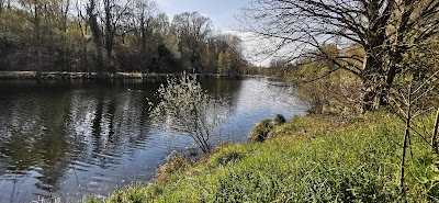 Étang de Gare d'Eau à Carvin