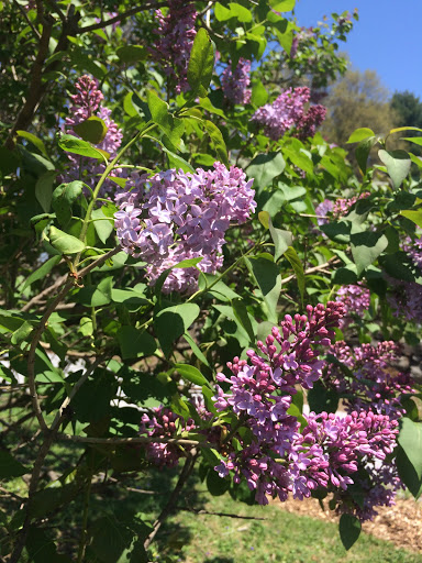 Produce Market «Highland Orchards Farm Market», reviews and photos, 1431 Foulk Rd, Wilmington, DE 19803, USA