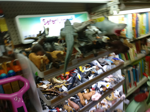Toy Store «A to Z Toys», reviews and photos, 728 Arthur Godfrey Rd, Miami Beach, FL 33140, USA