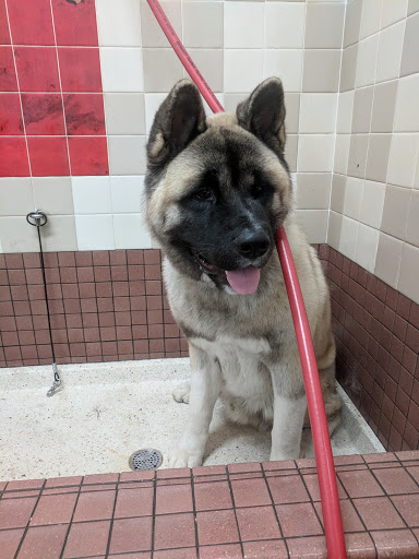 Pet Supply Store «Pet Food Express», reviews and photos, 2531 Fair Oaks Blvd, Sacramento, CA 95825, USA