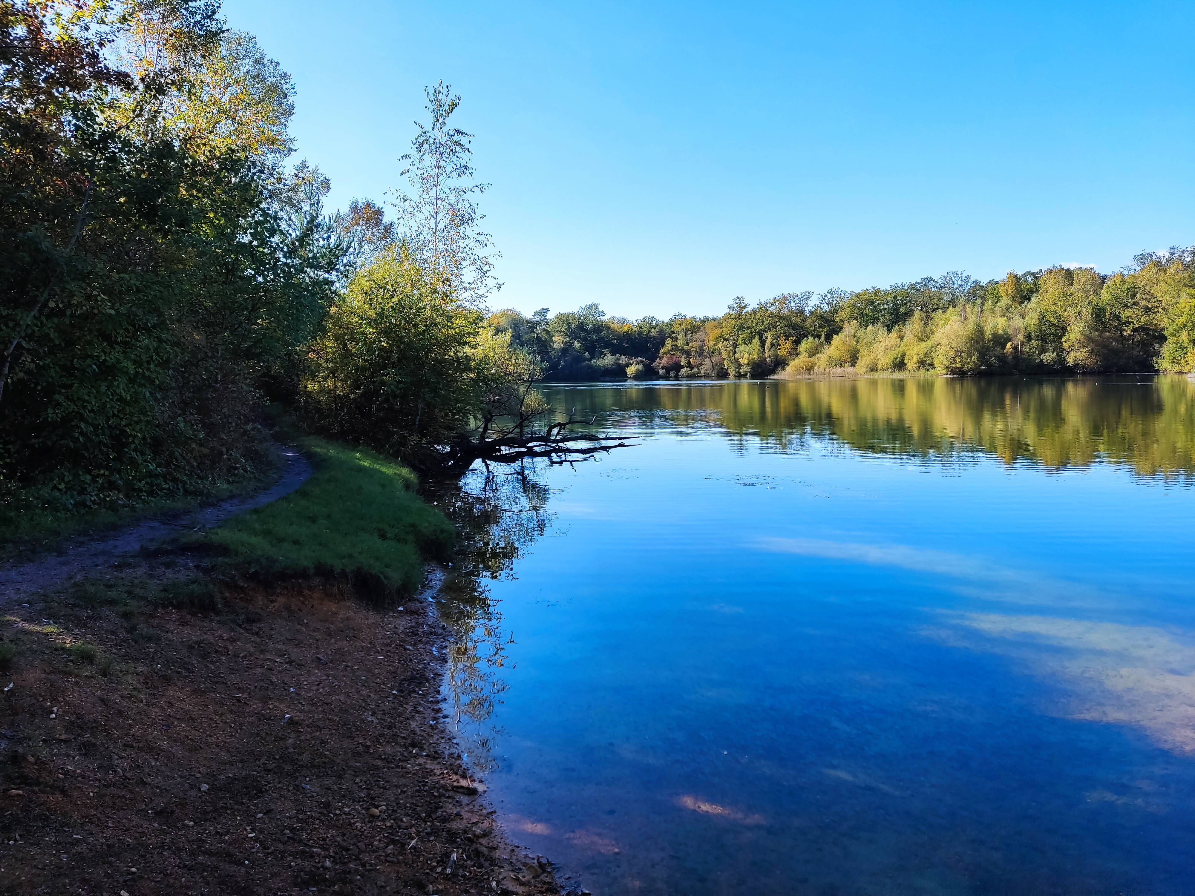 Photo n° 26 de l'avis de Mikkonen.e fait le 19/10/2021 à 08:24