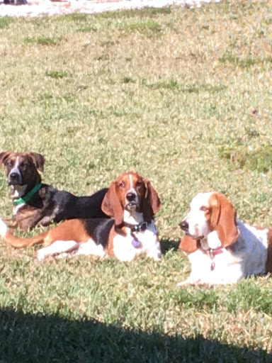 Pet Store «Woof Gang Bakery & Grooming Palm Beach Gardens», reviews and photos, 6231 PGA Boulevard #114, Palm Beach Gardens, FL 33418, USA