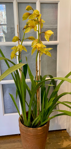 Florist «Medford Florist», reviews and photos, 38 S Main St, Medford, NJ 08055, USA