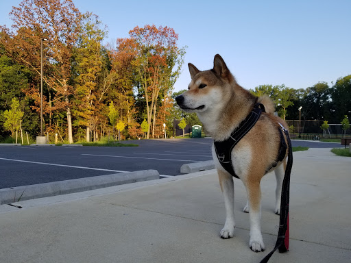 Recreation Center «Nancy H. Dacek North Potomac Community Recreation Center», reviews and photos, 13850 Travilah Rd, Rockville, MD 20850, USA