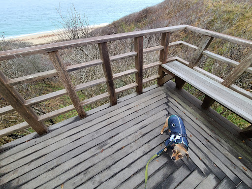 Golf Club «Sankaty Head Golf Club», reviews and photos, 100 Sankaty Rd, Nantucket, MA 02554, USA