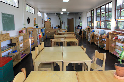 Montessori Colomba