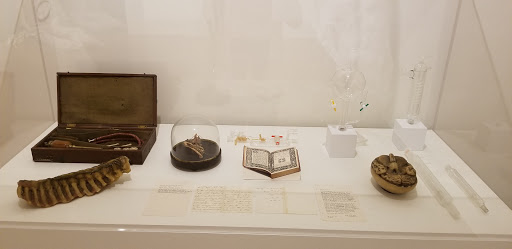 Art Museum «University of Kentucky Art Museum», reviews and photos, 405 Rose St, Lexington, KY 40508, USA