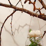 Photo n°1 de l'avis de Rosella.r fait le 19/04/2024 à 12:20 sur le  ErbaVoglio Hotel à Rimini