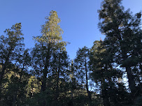 Training For All Ages - Photo 3 - Car repair in , Glendale