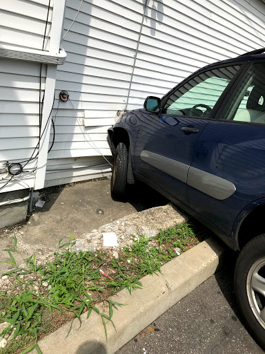 Dollar Store «Dollar Tree», reviews and photos, 250 Jericho Turnpike #80, Floral Park, NY 11001, USA