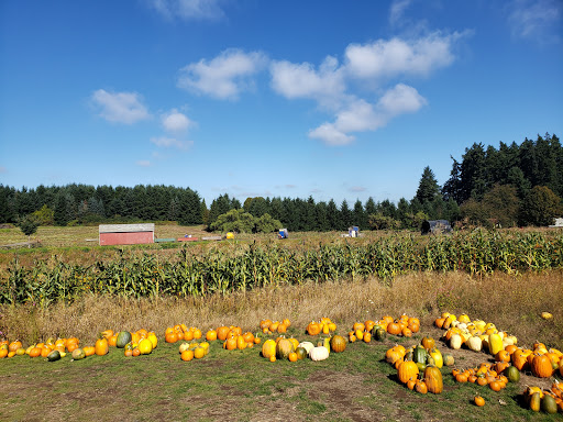Railroad Company «Flower Farmer», reviews and photos, 2512 N Holly St, Canby, OR 97013, USA