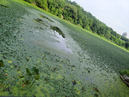 Golf Course «Van Cortlandt Park Golf Course», reviews and photos, 115 Van Cortlandt Park S, Bronx, NY 10471, USA