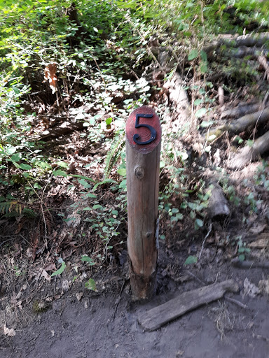 Public Golf Course «White River Disc Golf Course», reviews and photos, 2401 Stuck River Dr, Auburn, WA 98092, USA