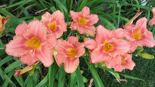 Park «Willow Creek Park», reviews and photos, 8000 E Phillips Cir, Centennial, CO 80112, USA