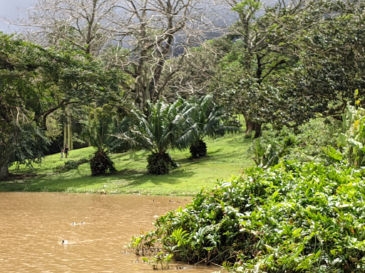 Ho'omaluhia Botanical Garden Visitor Center