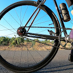 Photo n° 1 de l'avis de Patrick.e fait le 26/08/2022 à 09:36 pour Flr. Victor ou Franck LE RENARD à Laval