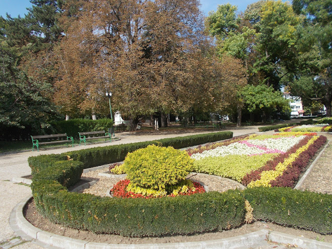 Градски парк "Св. Георги" - Други
