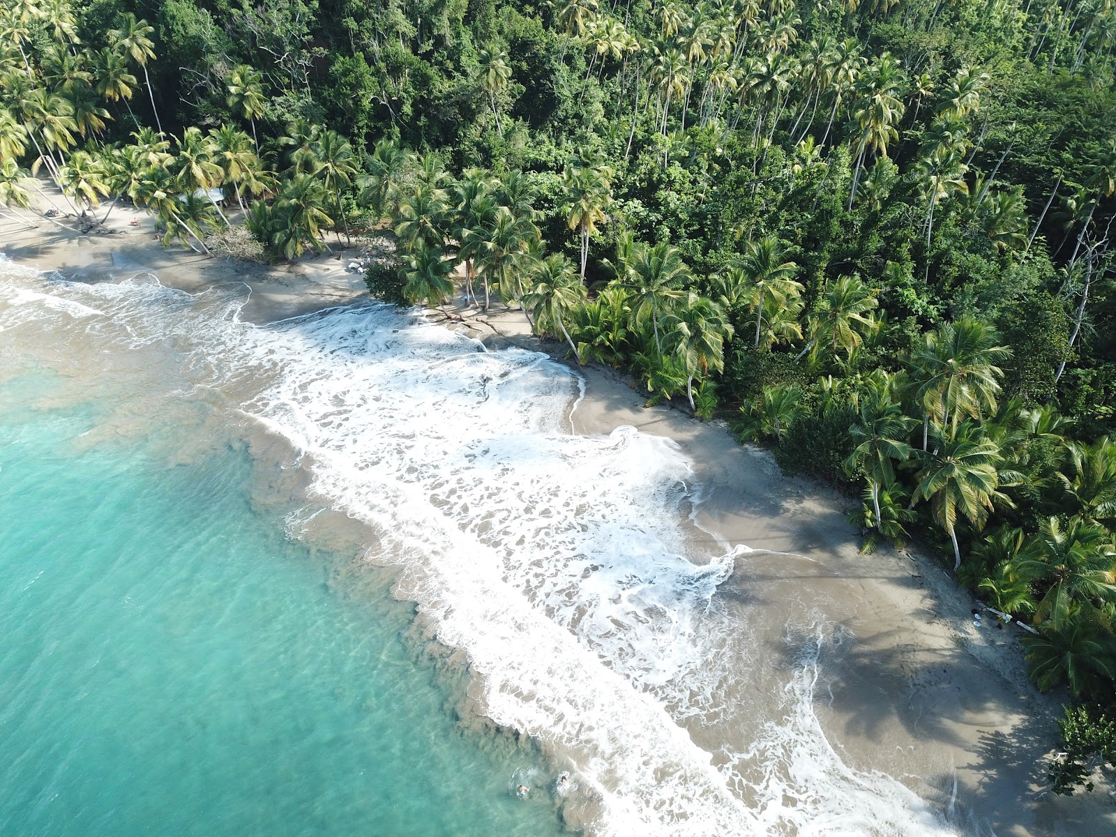 Batibou Bay'in fotoğrafı vahşi alan