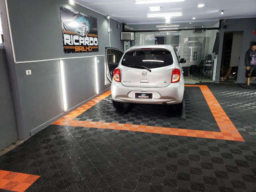 Logo da empresa - Ricardo Brilho