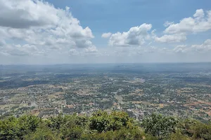 Yelagiri hill View Point image