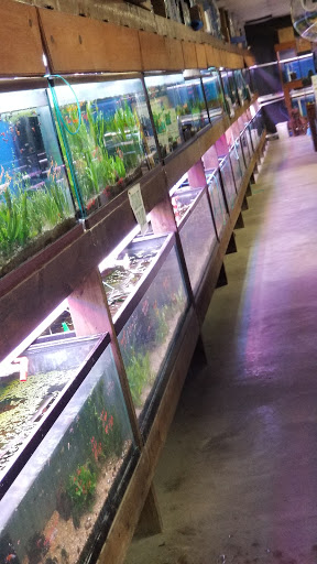 Pet Store «Fish R Us», reviews and photos, 10855 TX-242, Conroe, TX 77385, USA