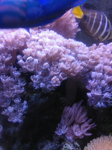 Used Auto Parts Store «Arite Used Auto Parts», reviews and photos, 116 Christian Ln, New Britain, CT 06051, USA