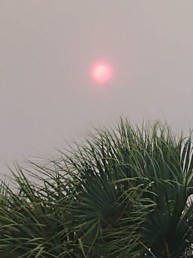 Electronics Store «Best Buy», reviews and photos, 6325 Naples Blvd, Naples, FL 34109, USA