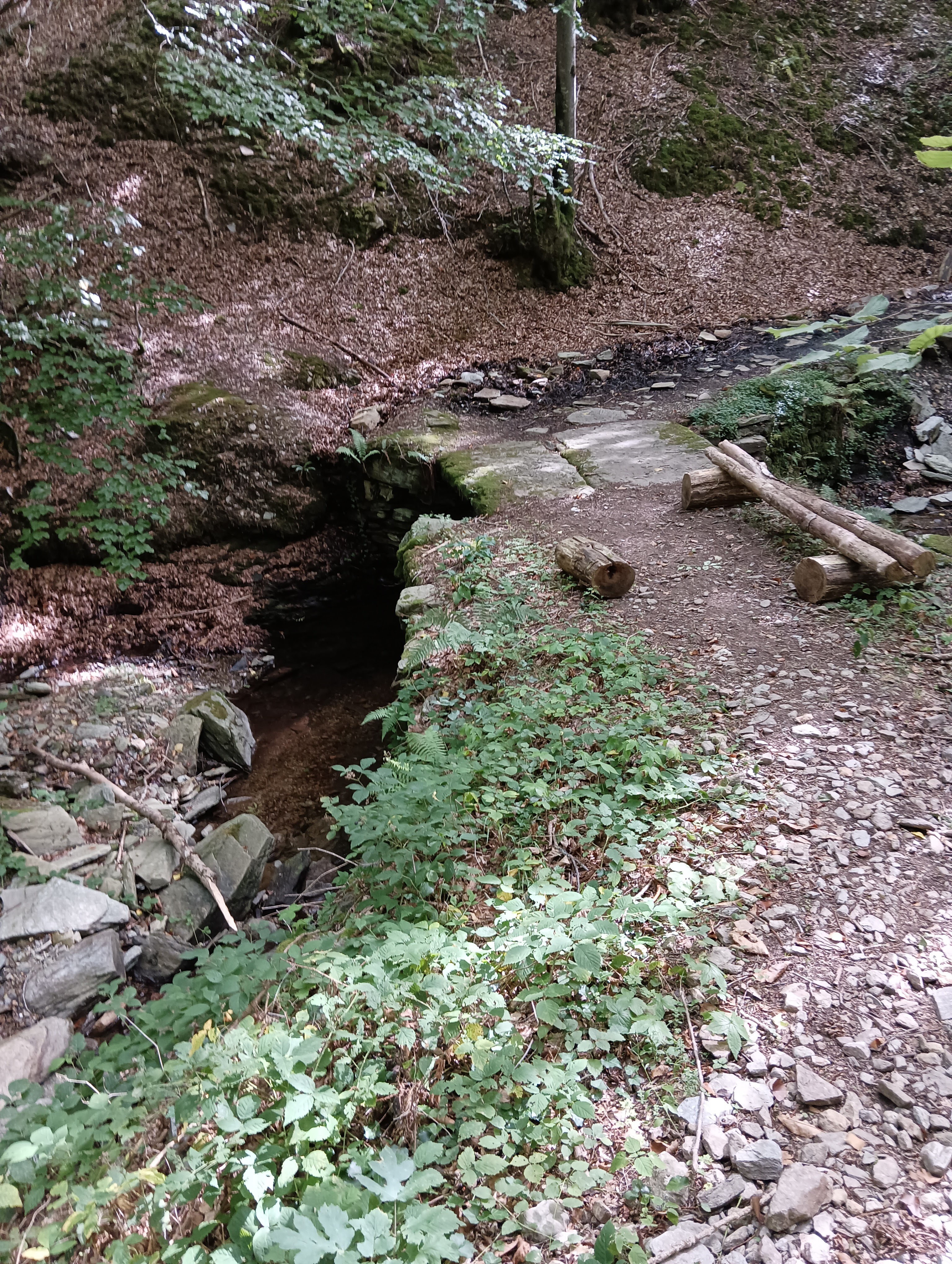 Photo n° 18 de l'avis de Bilbon.A fait le 06/09/2023 à 20:58