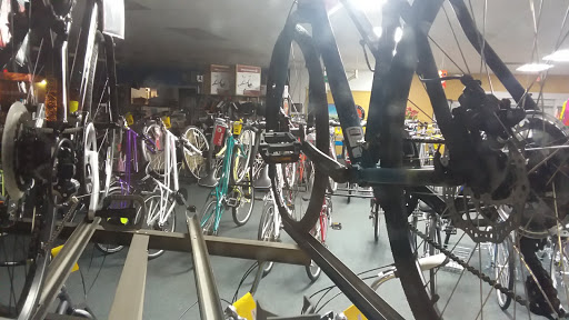 Bicycle Store «Fort Myers Cyclery - Schwinn GT Jamis Colnago», reviews and photos, 3630 S Cleveland Ave, Fort Myers, FL 33901, USA