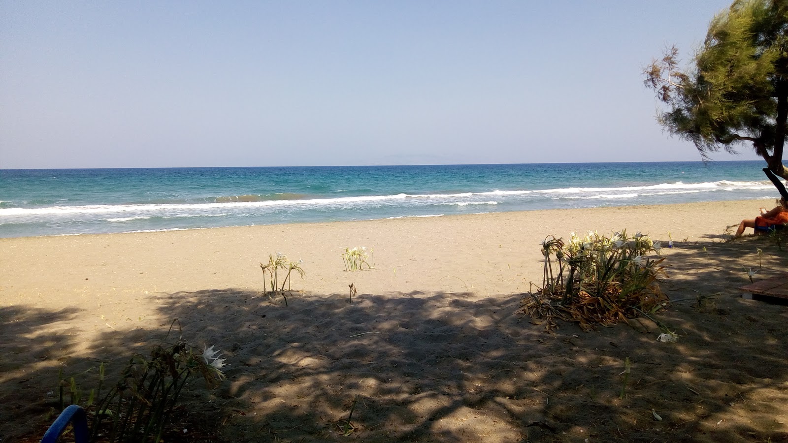 Foto de Paralia Fanes con bahía mediana