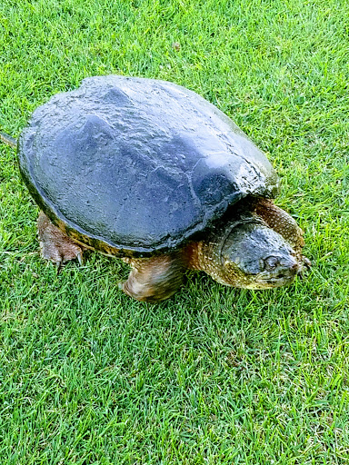 Public Golf Course «Sandy Burr Country Club», reviews and photos, 103 Cochituate Rd, Wayland, MA 01778, USA