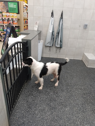 Pet Supply Store «Pet Supplies Plus», reviews and photos, 887 N Lexington-Springmill Rd, Mansfield, OH 44906, USA