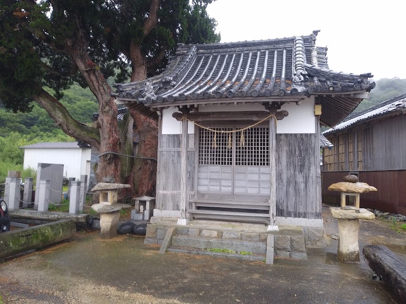 香川の保存木「室浜大明神のシンパク」