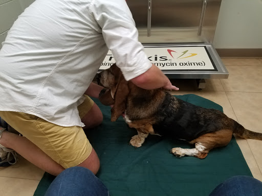 Poinsett Animal Hospital image