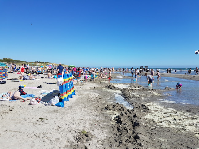 Reviews of West Wittering Beach Information in Worthing - Travel Agency