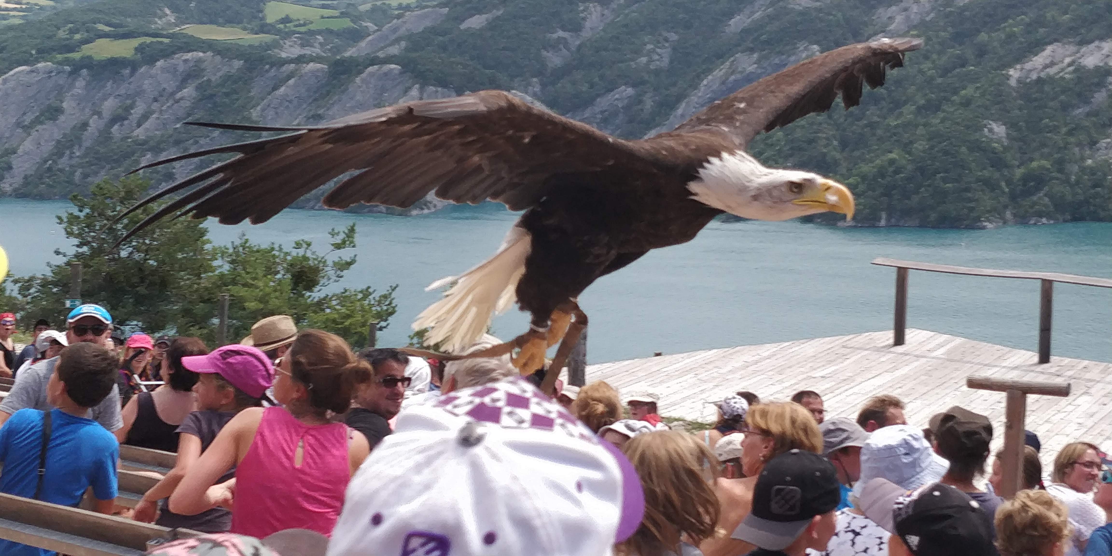 Photo n° 6 de l'avis de Sylvain.e fait le 02/08/2018 à 06:25