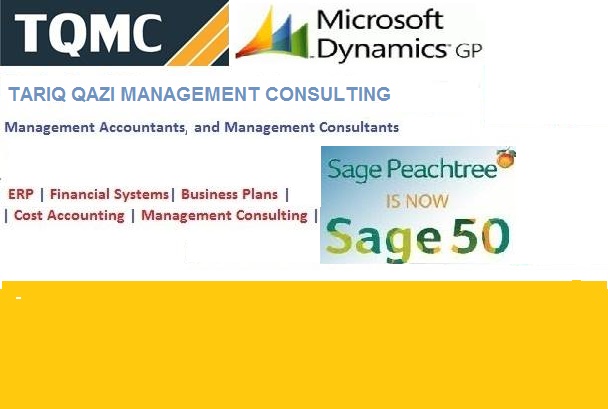 TQMC, Financial and Management Consulting