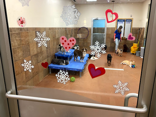Pet Supply Store «PetSmart», reviews and photos, 2865 Oak Valley Dr, Ann Arbor, MI 48103, USA