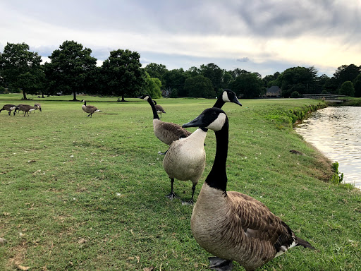 Park «Chastain Memorial Park», reviews and photos, 140 W Wieuca Rd NW, Atlanta, GA 30342, USA