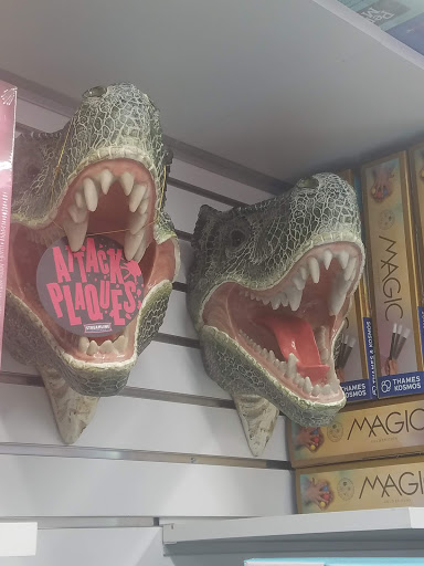 Toy Store «Wonder Works», reviews and photos, 624 Long Point Rd L, Mt Pleasant, SC 29464, USA