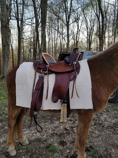 Horseback Riding Service «Long C Trails», reviews and photos, 8959 Hanes Rd, Westmoreland, TN 37186, USA