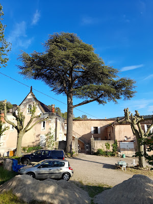 CHÂTEAU DE FAVAS à Bargemon