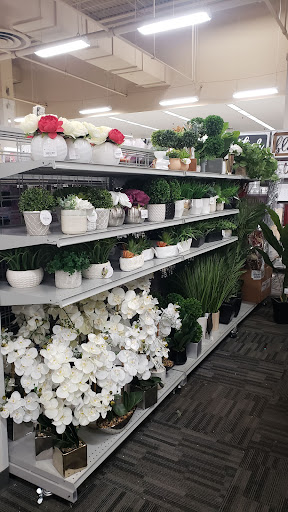 Clothing Store «Burlington Coat Factory», reviews and photos, 30 W Rand Rd, Arlington Heights, IL 60004, USA